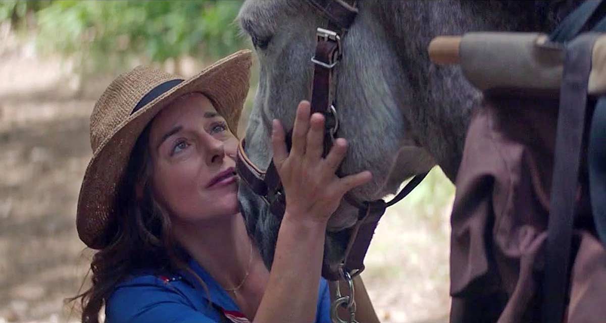 Audiences TV Prime (dimanche 27 avril 2025) : Antoinette dans les Cévennes pulvérise Shazam sur TF1, Mystères au paradis bat Capital sur M6 Audiences TV Prime (dimanche 27 avril 2025) : Antoinette dans les Cévennes pulvérise Shazam sur TF1, Mystères au paradis bat Capital sur M6