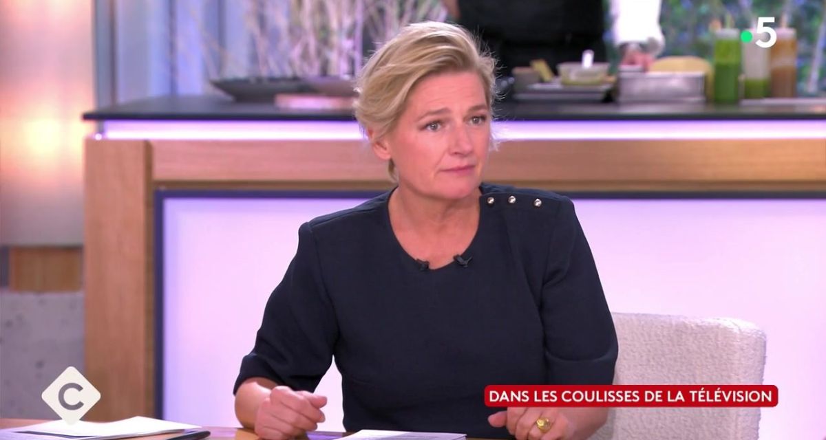 C à vous : « Vous mentez tous les soirs aux téléspectateurs », Anne-Élisabeth Lemoine démasque un invité C à vous : « Vous mentez tous les soirs aux téléspectateurs », Anne-Élisabeth Lemoine démasque un invité