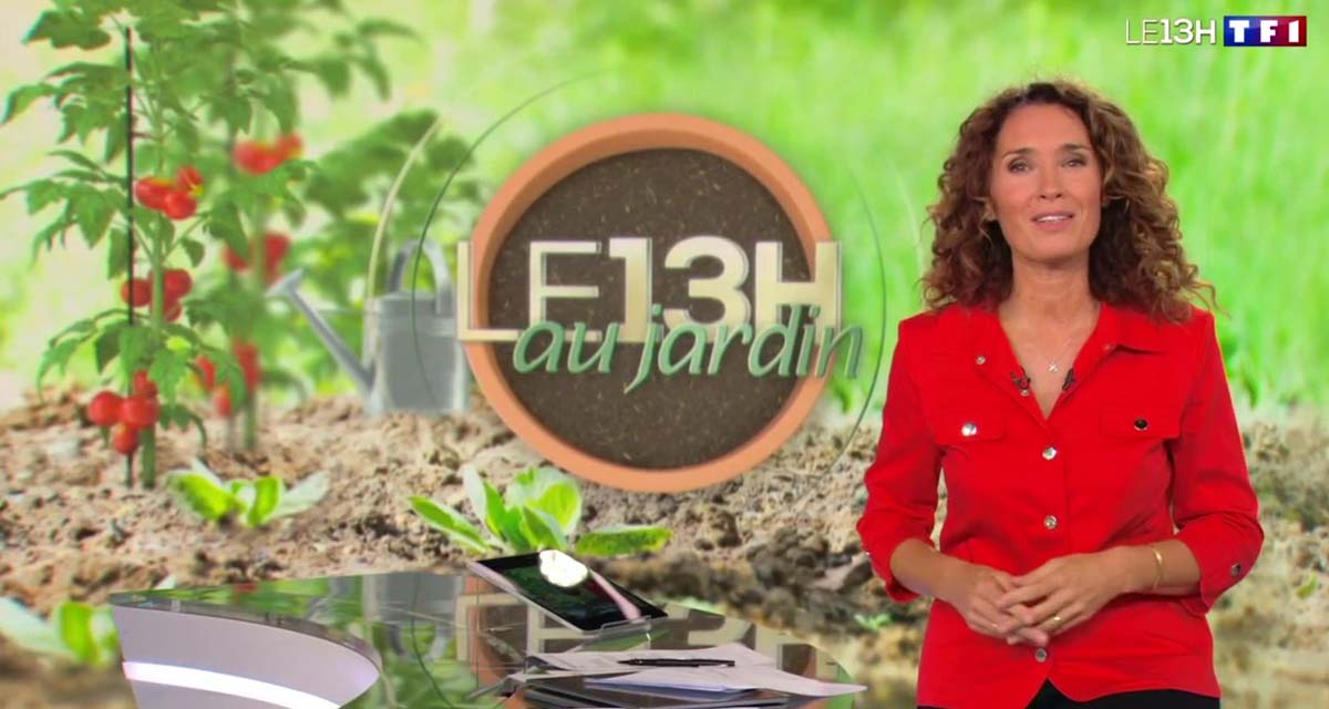 JT 13H : un remplacement inévitable pour Marie-Sophie Lacarrau, TF1 alertée JT 13H : un remplacement inévitable pour Marie-Sophie Lacarrau, TF1 alertée