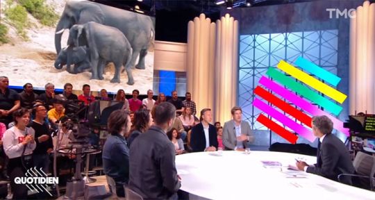 Quotidien : Yann Barthès fait chuter TPMP, Stéphane Bern défend Emmanuel Macron Quotidien : Yann Barthès fait chuter TPMP, Stéphane Bern défend Emmanuel Macron
