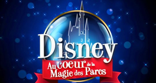 De Disneyland à Port Aventura et Siam Park, NRJ12 au cœur de la magie des parcs