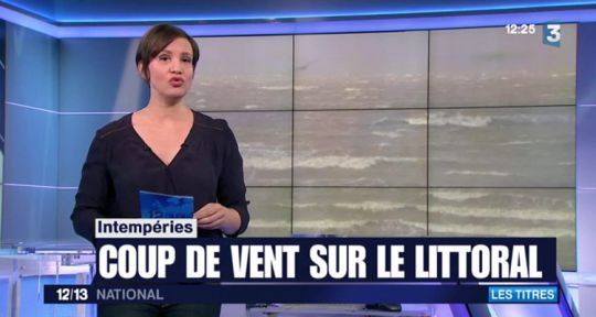Audiences JT (11 janvier 2016) : Elise Lucet, Emmanuelle Lagarde et Meline Freda, un trio féminin en hausse Audiences JT (11 janvier 2016) : Elise Lucet, Emmanuelle Lagarde et Meline Freda, un trio féminin en hausse