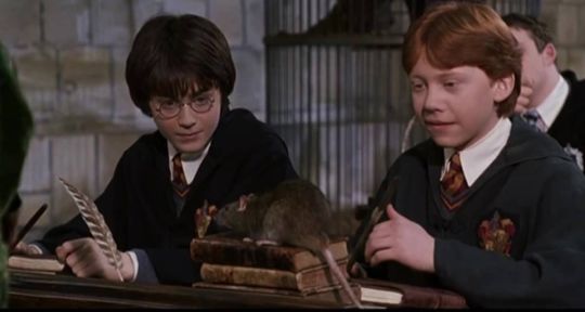 Harry Potter : cette incroyable nouvelle qui vient de tomber, TF1 fait coup double 