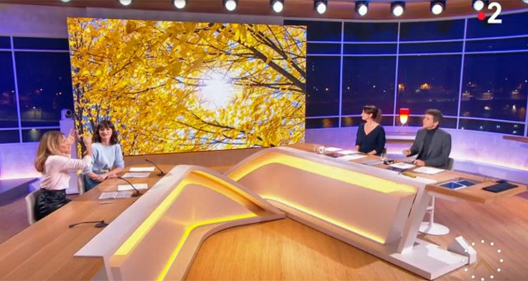 Télématin : la gaffe de Thomas Sotto, audiences au top pour Julia Vignali Télématin : la gaffe de Thomas Sotto, audiences au top pour Julia Vignali