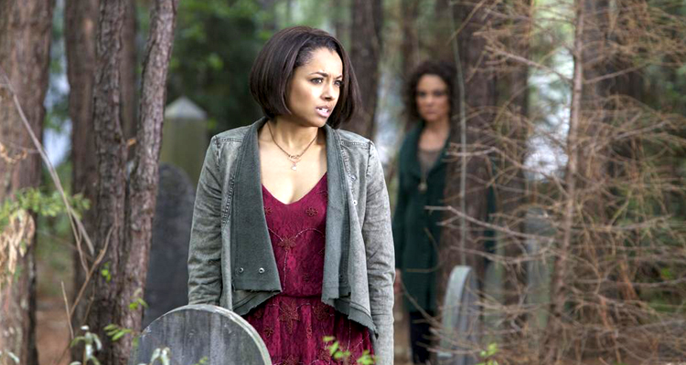 Vampire Diaries, True Blood : quelles audiences pour les deux séries saignantes de NT1 ? Vampire Diaries, True Blood : quelles audiences pour les deux séries saignantes de NT1 ?