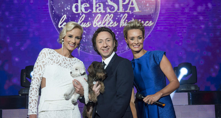 170 ans de la SPA : Keen’V, Jenifer et Jérémy Ferrari aux côtés de Stéphane Bern, Natacha Harry et Elodie Gossuin 170 ans de la SPA : Keen’V, Jenifer et Jérémy Ferrari aux côtés de Stéphane Bern, Natacha Harry et Elodie Gossuin
